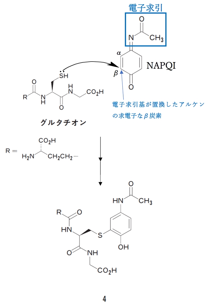 アセトアミノフェン代謝物 グルタチオン付加,機構 102回薬剤師国家試験問209